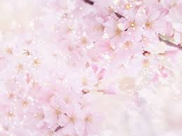 Design by 123 free vectors. Free Download Pastel Pink Flowers Wallpaper 700x525 For Your Desktop Mobile Tablet Explore 45 Pastel Flowers Wallpaper Pastel Floral Wallpaper Pastel Wallpaper Border Pastel Desktop Wallpaper