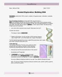 What are the two dna components shown in the gizmo? Building Dna Gizmo Worksheet Answers Rnaprotein Synthesis Se Biol 1020h Studocu A Nucleoside Has Two Parts