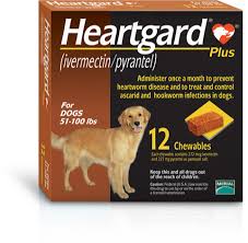 Protect Your Dog With Heartgard Plus The 1 Choice Of Vets