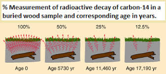 Although the time at which any individual atom will decay cannot be forecast. Radioactive Carbon Dating Definition Url To