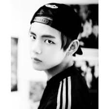 Dire Wolf Fanfiction Stories