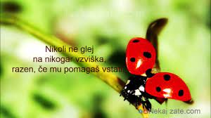 Misli.com, misli elektronik şans oyunları ve yayıncılık a.ş.'nin markasıdır. Lepe Misli Za Vas Youtube