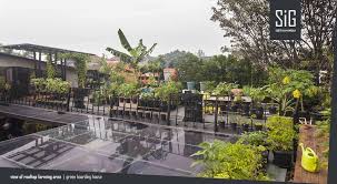 Menanam anggur apakah bisa di atas rumah. 18 Jenis Desain Taman Atap Rooftop Garden Arsitag