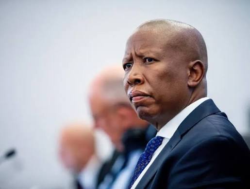 Not above the law': Political parties respond as Malema gets 5 years