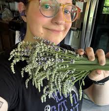 Scissortail Apothecary