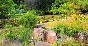 Der garten wurde zwischen 1946 und 1955. Botanischer Garten Sommerfest Der Mainzer