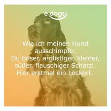 Wie Ich Meinen Hund Ausschimpfe Du Boser Arglistiger Kleiner Susser Flauschiger Schatzi Hier Erstmal Ein Lecker Hund Zitat Hundespruche Lustige Hundenamen