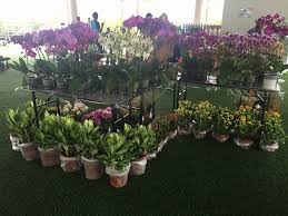 Update happy new years bunga api dikawasan putrajaya dan tasik titiwangsa kuala lumpur #happynewyears2020 #putrajayatasiktitiwangsa. Kunjungilah Kedai Bunga Kami Royal Floria Putrajaya Facebook