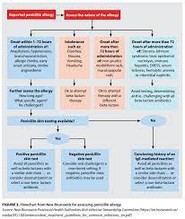 Guest Post Beta Lactam Allergy Benefits Of De Labeling Can Be Achieved Safely College Of Pharmacists Of British Columbia