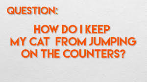 This will make the cat make a distance from the counters. How Do I Keep My Cat From Jumping On The Counters Youtube