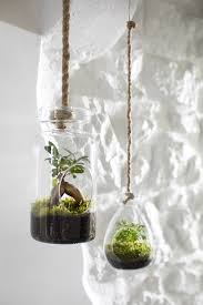 Terrarium Jeroboam L En Verre A Poser Ou Suspendre O 14 Cm X H 28 Cm Plantes Et Fleurs D Interieur Maison Botanic Terrarium Suspendu Fleurs Interieur Terrarium