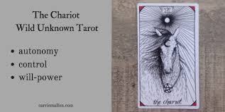 The chariot tarot card is all about overcoming challenges and gaining victory through maintaining control of your surroundings. The Chariot Wild Unknown Tarot Card Meanings Carrie Mallon