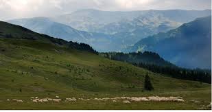 Traseul continua spre lacul de acumulare vidraru si incepe frumoasa calatorie pe transfagarasan. Transalpina Drumul Dintre Nori I Tour Proiect NaÈ›ional De Promovare TuristicÄƒ