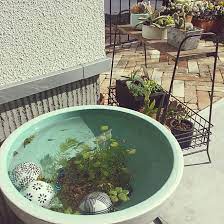 玄関 入り口 水草 浮き玉 日光浴 多肉寄せ植え などのインテリア実例 2017 02 02 12 37 30 roomclip ルームクリップ 水草 浮き玉 睡蓮鉢