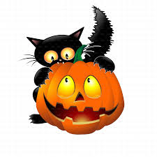 We did not find results for: Witch Cat Google Search Halloween Cat Halloween Cartoons Halloween Funny