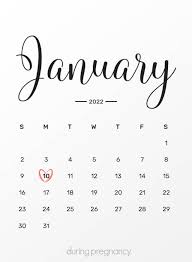 Due Date January 10 2022 During Pregnancy