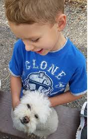 ❗❗ MISSING DOG ❗❗ My cutie 3-year-old female Poodle, Hazzel, went missing  this morning. We are incredibly worried and anxious to get her home safely.  • Name: Hazzel • Breed: Poodle •