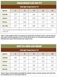 Increasing Yields Of Baby Leaf Vegetables Greenhouse Product News