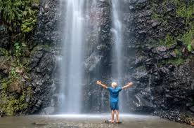Apalagi wahana the jungle juga terbilang bervariasi, tidak hanya kolam renang saja yang bisa memuaskan anda namun ada banyak wahana. Yuk Kunjungi 9 Destinasi Wisata Air Terjun Di Mojokerto Ini