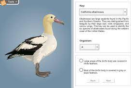 Check spelling or type a new query. Dichotomous Keys Gizmo Lesson Info Explorelearning