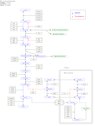 Oct 26, 2008 · phosphorylation during glycolysis. Glucose 6 Phosphate Wikipedia