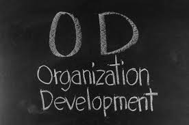 Image result for organization development