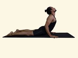 11 Yoga Asanas To Correct Your Posture Yoga Asanas Shoulder Posture Postures