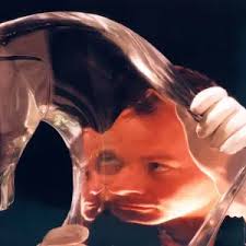 Leslie Conn Separation Announcement Print 1977. Art Prints, Posters &  Puzzles from Memory Lane