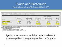 Urine Culture Practices In The Icu Antibiotic Stewardship