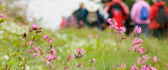 History of spring bank holiday. May Day 2022 2023 And 2024 Publicholidays Co Uk