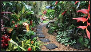 Rainforest Feel For The Garden Tropical Garden Design Tropical Garden Plants Small Tropical Gardens