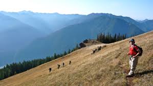The road is open throughout summer. Elwha To Hurricane Hill The Mountaineers