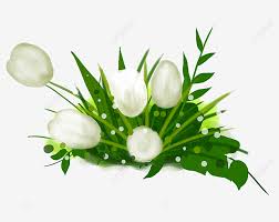 Gambar ilustrasi vektor ornamen bunga putih antik yang indah bunga floral alam png dan vektor dengan latar belakang transparan untuk unduh gratis di 2021 ilustrasi vektor kartu pos fraktal. Gambar Daun Dan Bunga Hijau Musim Semi Hijau Putih Bunga Png Transparan Clipart Dan File Psd Untuk Unduh Gratis
