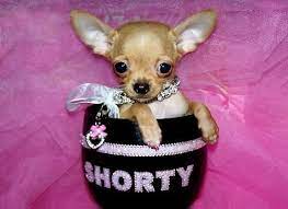 Pin En Things I Love