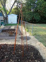 Not only does it serve a functional purpose by acting as a. Build A Teepee Trellis For Pole Beans Veggie Gardener Forum