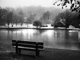 Black And White Bench Empty Park Bench Park Bench Bench Park