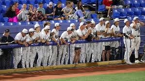 2018 Spring Preview: Galena Baseball