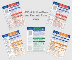 The first signs of an anaphylactic reaction may look like typical allergy symptoms: Updated 2020 Versions Of Ascia Action Plans Are Now Available Australasian Society Of Clinical Immunology And Allergy Ascia
