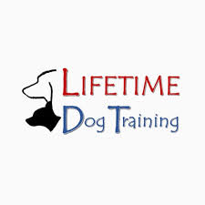 As the professional education and public service division of uc san diego, extension is focused on being a major catalyst for the continued. 9 Best San Diego Dog Training Classes Expertise Com