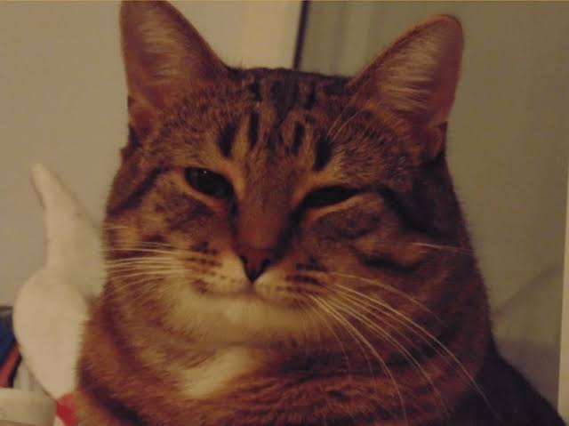 images?q=tbn:ANd9GcRymubM2vnPSgNBsf5hORU