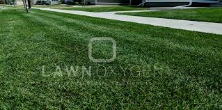 1564 n and south rd bldg c. Top Rated Lawn Treatment Services Near Me