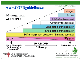 Cts Copd Guidline British Columbia Respiratory Therapy