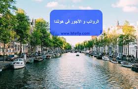 فيلم استدعاء ولي عمرو 2019 اون لاين. Ø§Ù„Ø±ÙˆØ§ØªØ¨ Ùˆ Ø§Ù„Ø£Ø¬ÙˆØ± ÙÙŠ Ù‡ÙˆÙ„Ù†Ø¯Ø§ 2021 ÙÙŠØ²Ø§ Ø§Ù„Ø¹Ù…Ù„ ÙÙŠ Ù‡ÙˆÙ„Ù†Ø¯Ø§ Ù…Ø¤Ø³Ø³Ø© Mie Ø§Ù„Ø¥Ø³ØªØ´Ø§Ø±ÛŒØ©