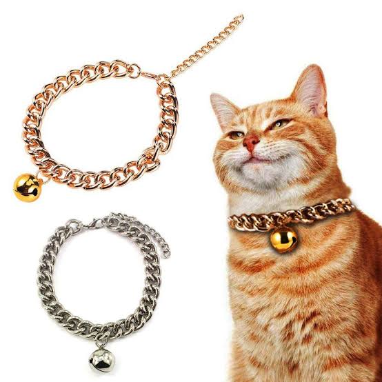 Dây Chuyền Xi Mạ Vàng Cho Chó Mèo - Cửa Hàng Thú Cưng Cunstores