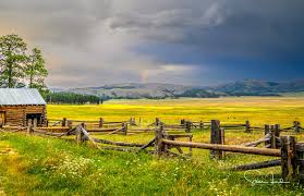 Image result for tbn:cRxpWML3C6TQFM::farm3.static.flickr.com/2382/2420623259_e3c8cd4fd8.jpg