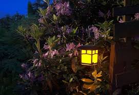 Hallo, vielleicht kennt jemand sich mit solarlampen aus.ich habe im garten solarlampen. Solar Lights In The Garden Environmentally Friendly Lighting With Wow Factor Decor Store 2018 Solarleuchten Beleuchtung Solarbeleuchtung