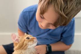 Fundraiser for Brian Beach by Brooke Healy : Help Elliott Beat Cancer