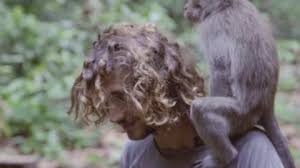 I had long curly hair for the longest time i know. Monkey Shoulder Stock Video Footage 4k And Hd Video Clips Shutterstock