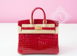 Uno dei ristoratori tra i volti della protesta di io apro come riporta parmapress24.it, hermes ferrari era in compagnia della moglie al fidenza village. Hermes Braise Red Ferrari Crocodile Birkin 25 Handbag Kelly Bag Maison De Luxe