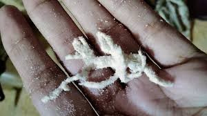 This is what I have found in talbeena powder.. I just want to say we trust  you and buy products and this kind of impurities are insane..this is a  thick thread